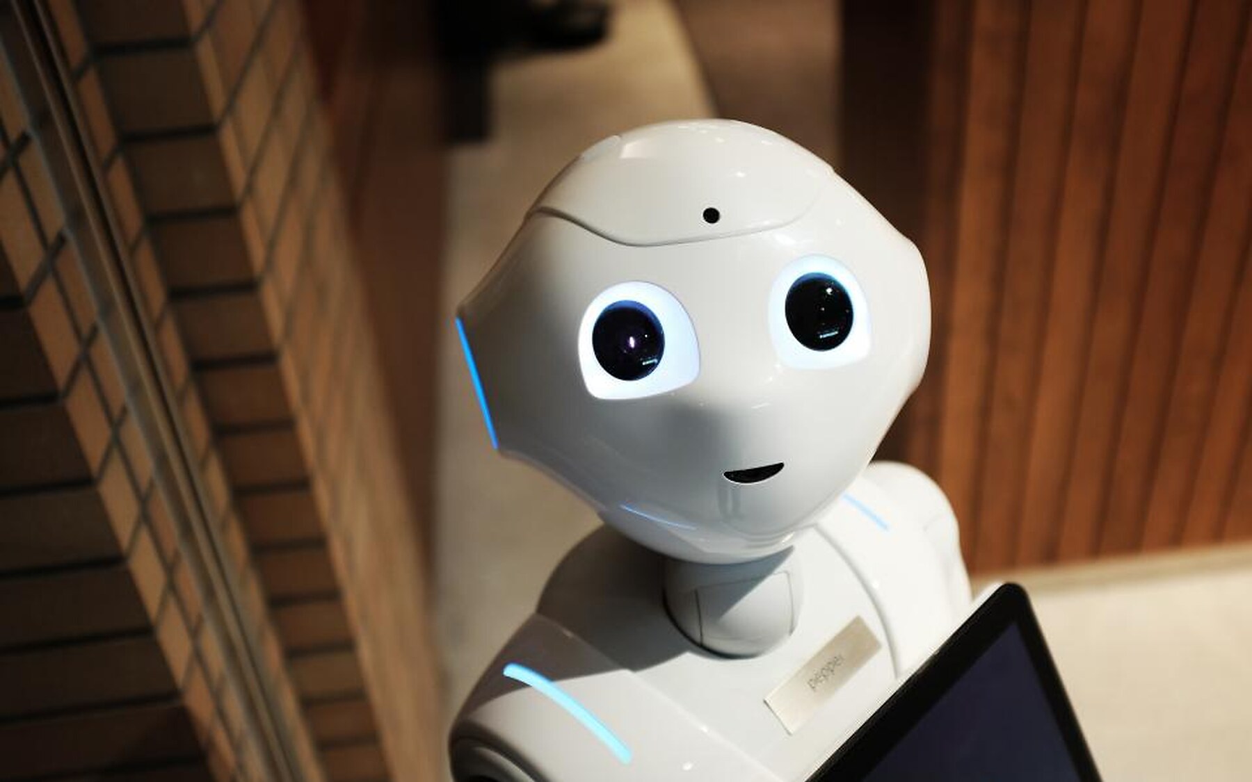Service robot closeup