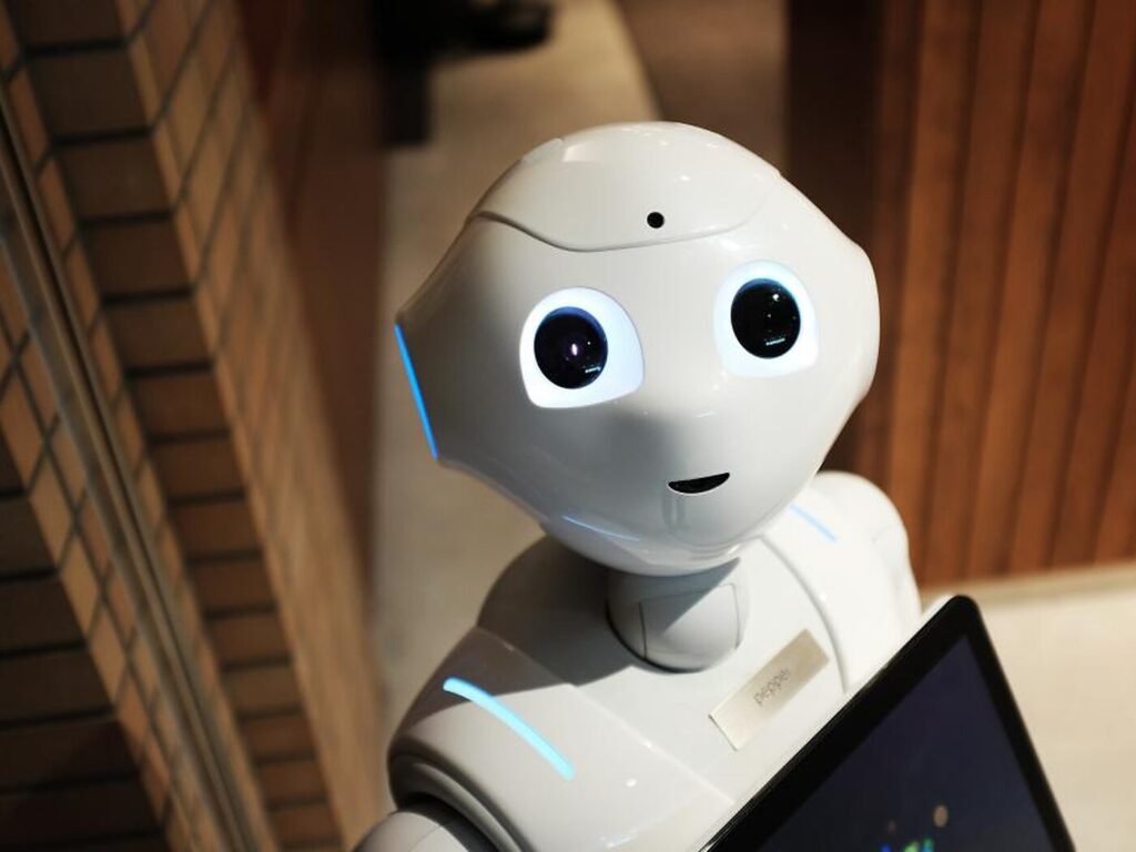 Humanoid Service Robots